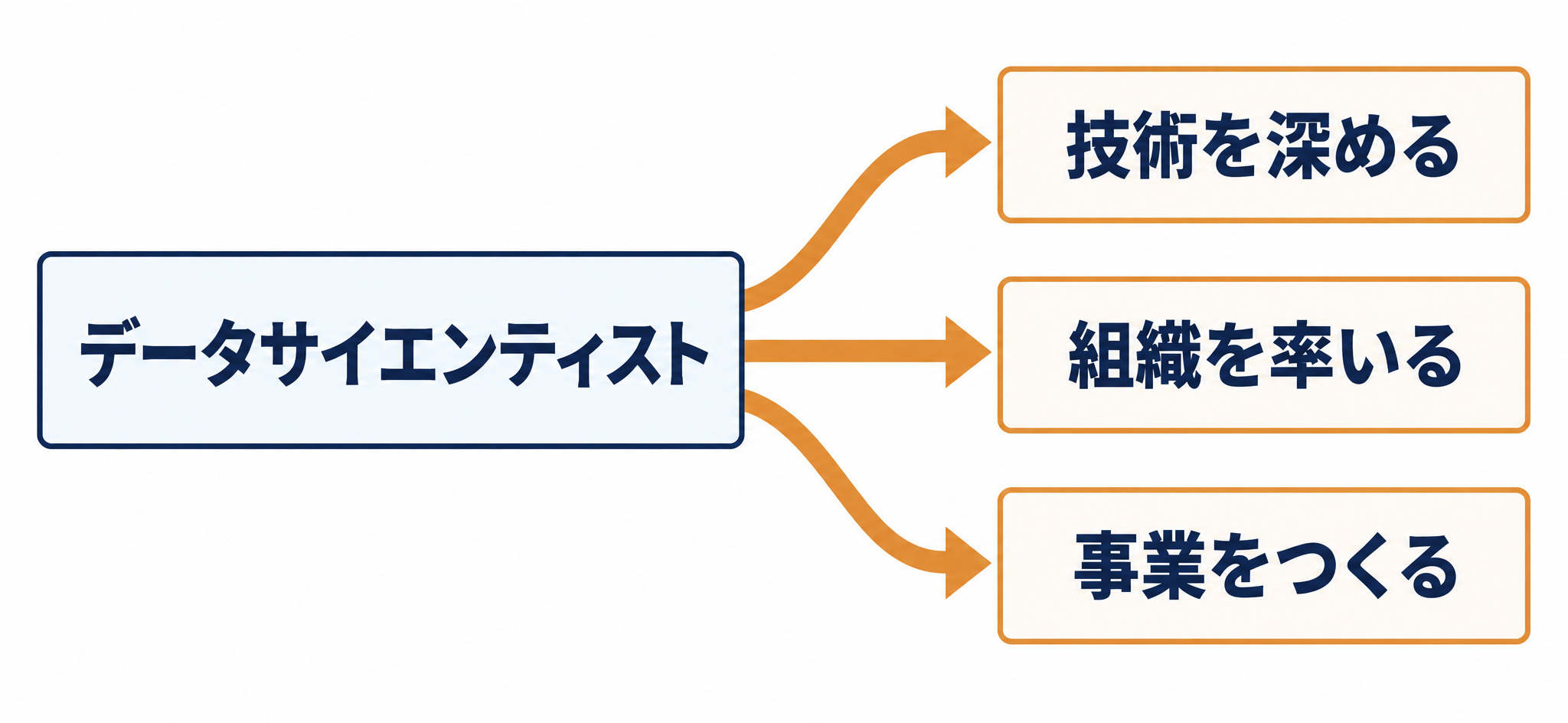 データサイエンティスト転職後のキャリアパス